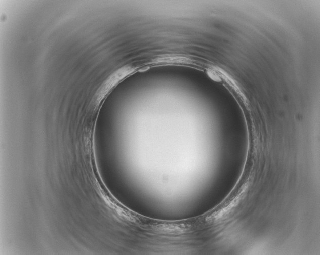 X0000059831049200510241416