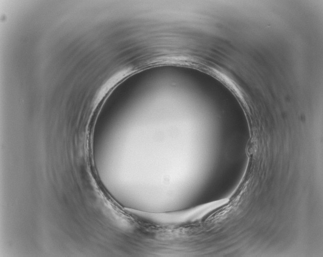 X0000059831050200510241416