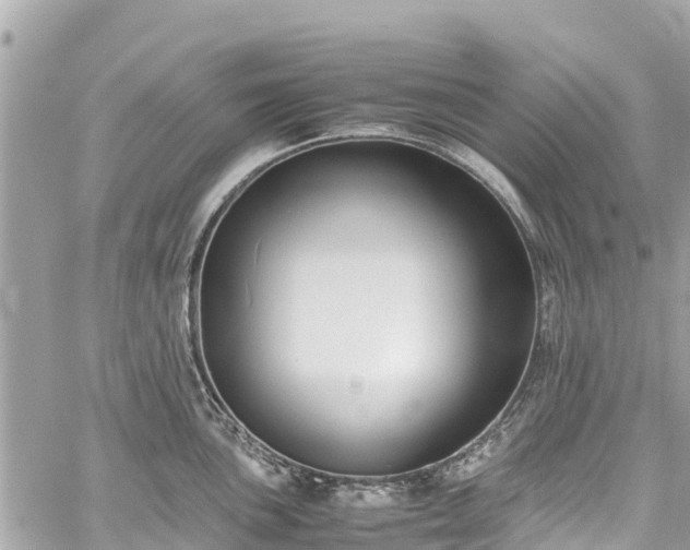 X0000059831051200510241416