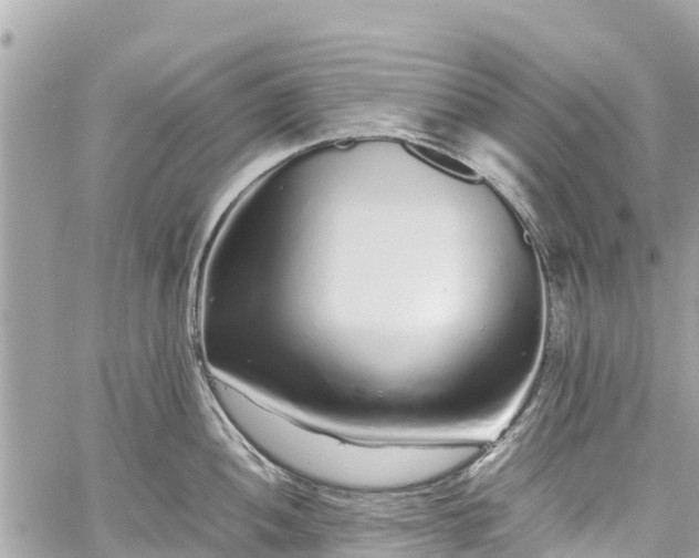 X0000059831052200510241416