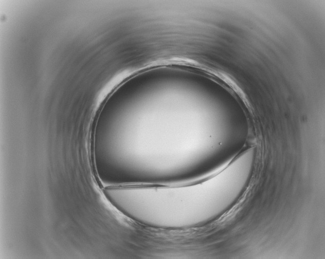 X0000059831054200510241416