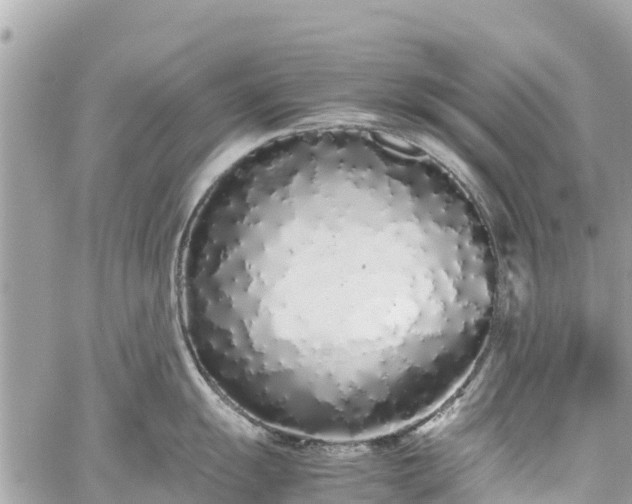 X0000059831055200510241416