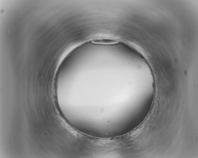 X0000059831056200510241416