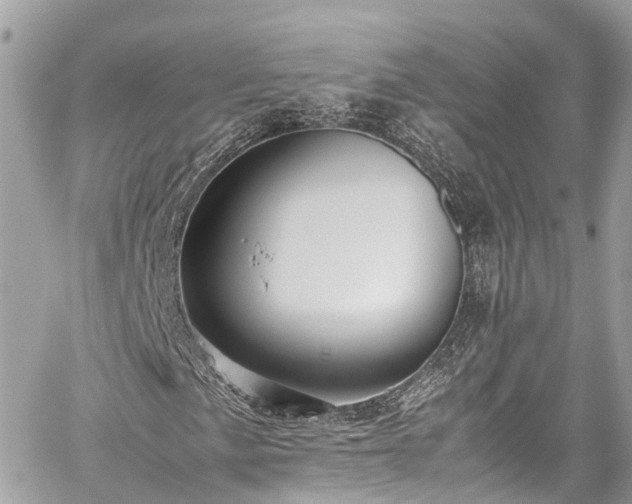 X0000059831057200510241415