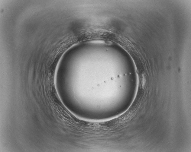 X0000059831059200510241415