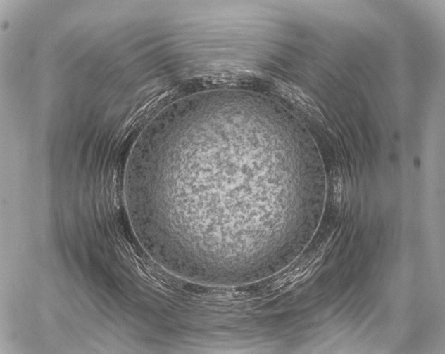 X0000059831060200510241415