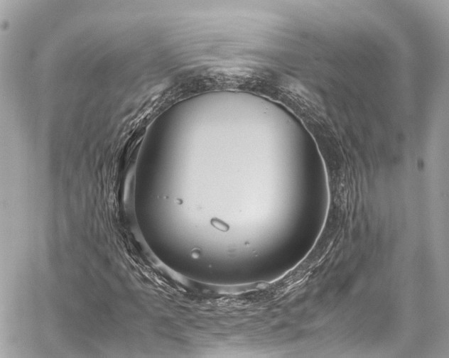 X0000059831061200510241415