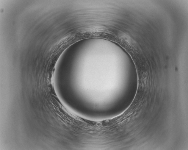 X0000059831062200510241415