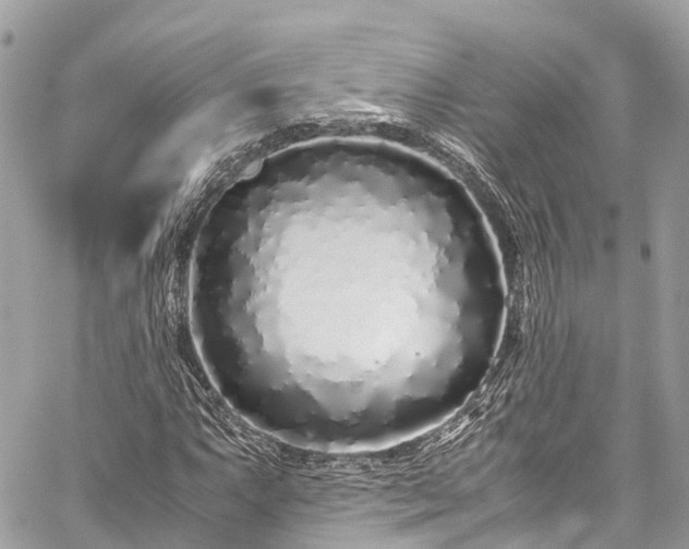 X0000059831063200510241415