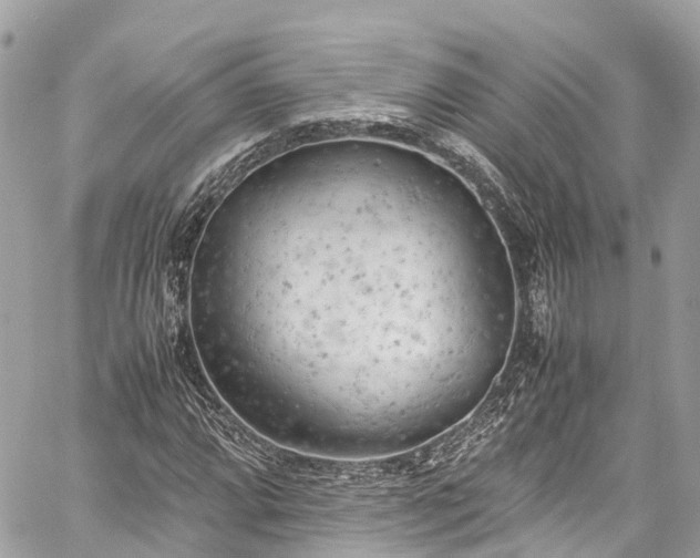 X0000059831064200510241415