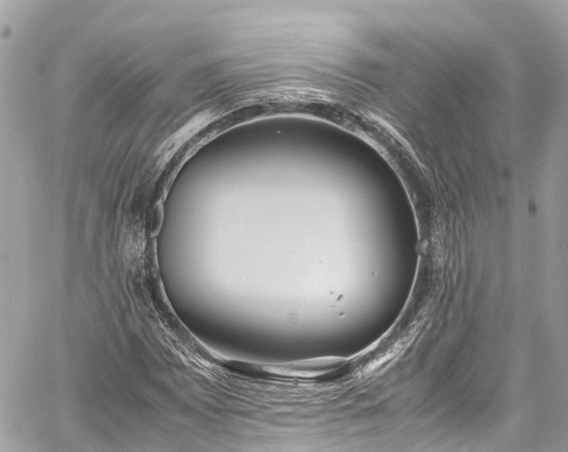 X0000059831065200510241415