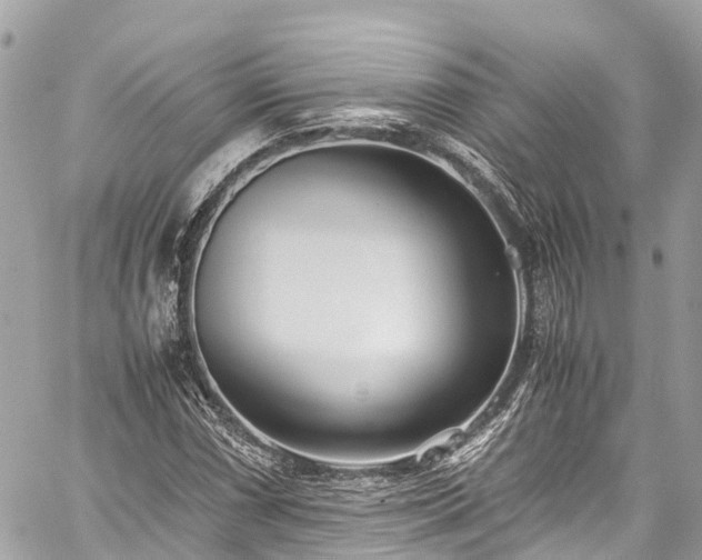 X0000059831066200510241415