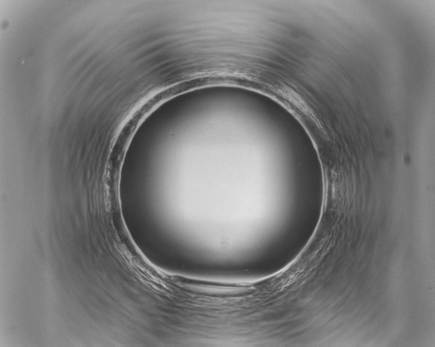 X0000059831068200510241415