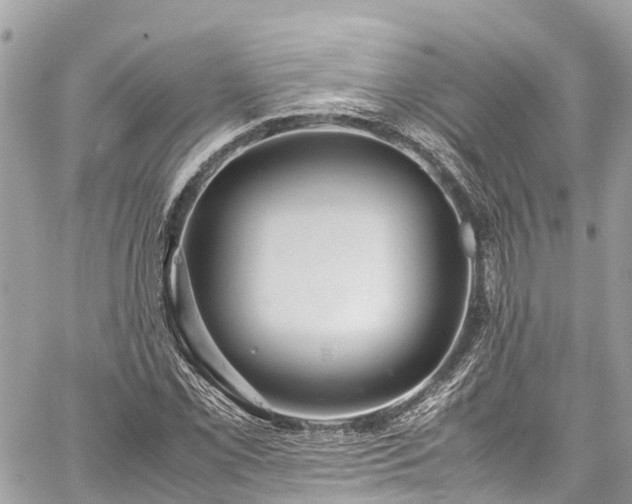 X0000059831069200510241415