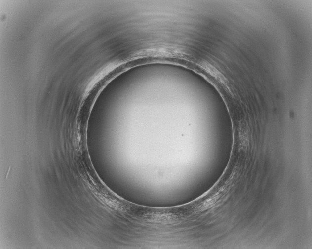 X0000059831070200510241415