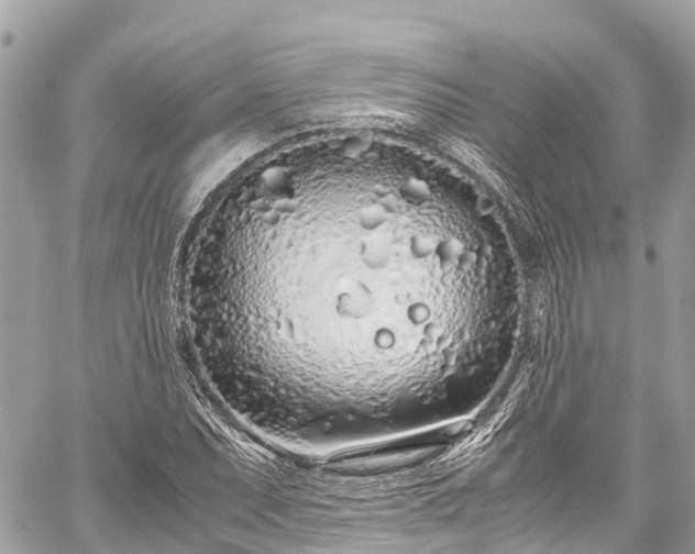 X0000059831071200510241415