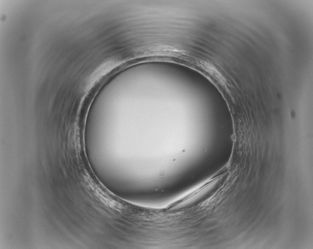 X0000059831072200510241415