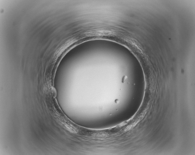 X0000059831073200510241415