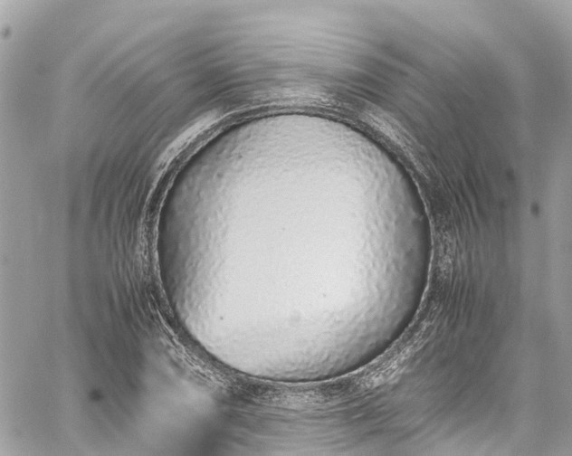 X0000059831074200510241415