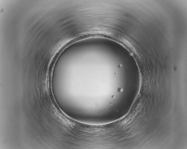 X0000059831076200510241415