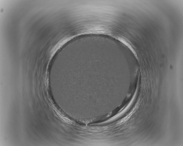 X0000059831077200510241415