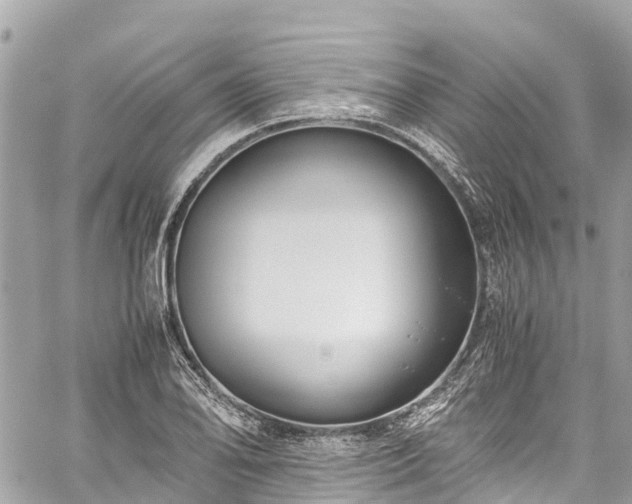 X0000059831078200510241415