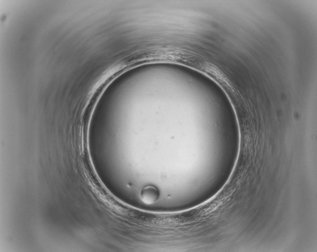 X0000059831079200510241415