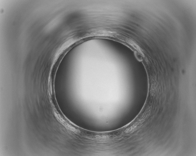 X0000059831080200510241415