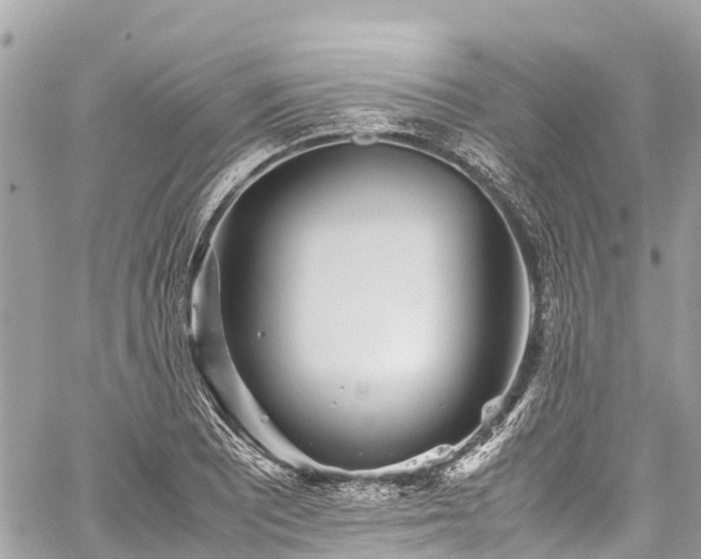 X0000059831081200510241415