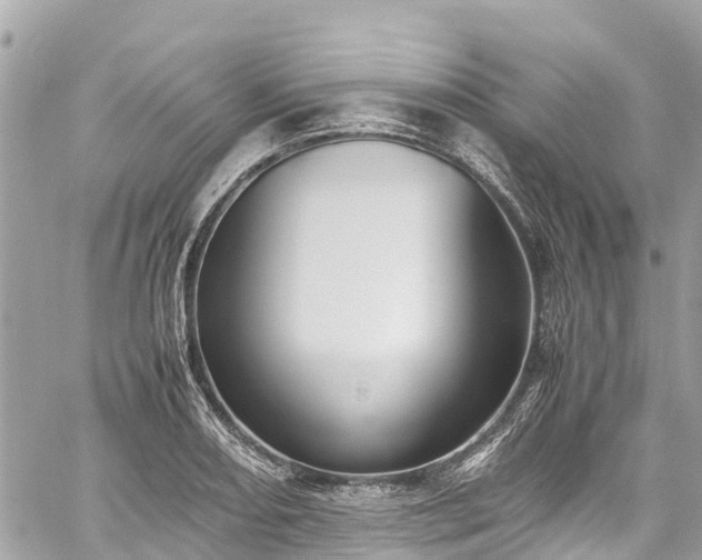 X0000059831082200510241415