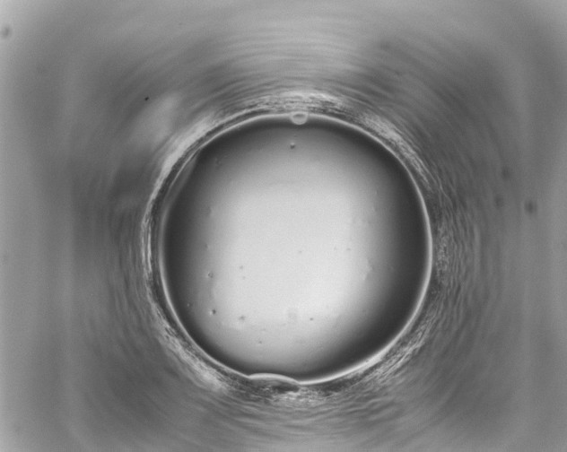 X0000059831083200510241415