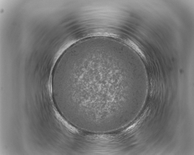 X0000059831084200510241415