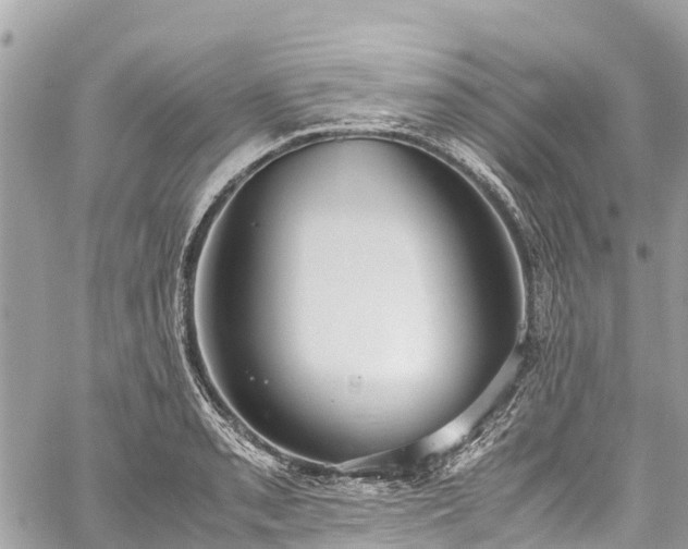 X0000059831085200510241415