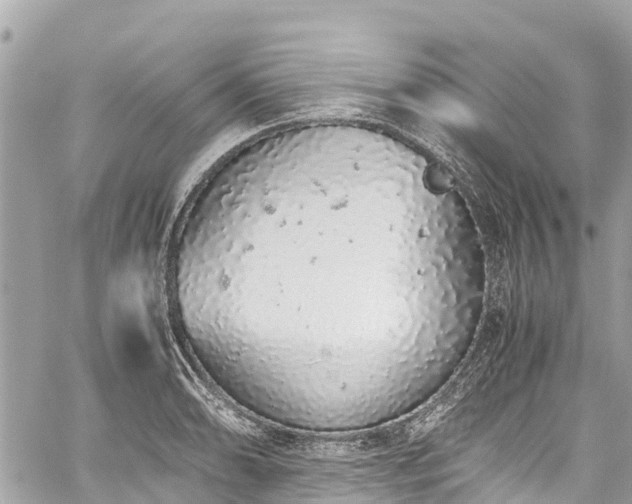 X0000059831086200510241415