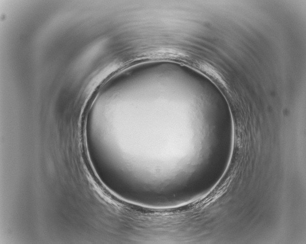 X0000059831087200510241415