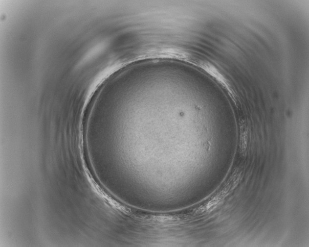 X0000059831088200510241415