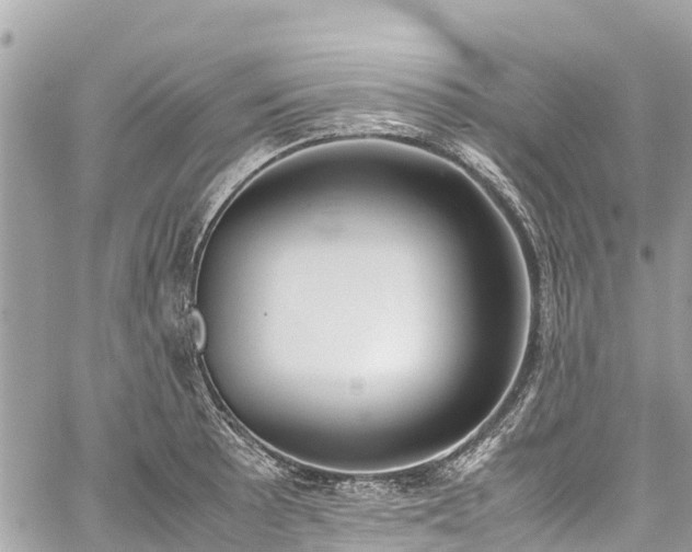 X0000059831089200510241415