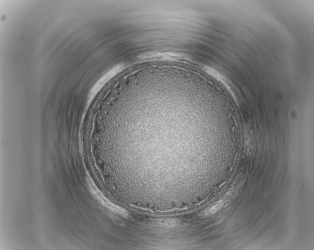 X0000059831090200510241415