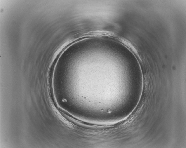 X0000059831091200510241415