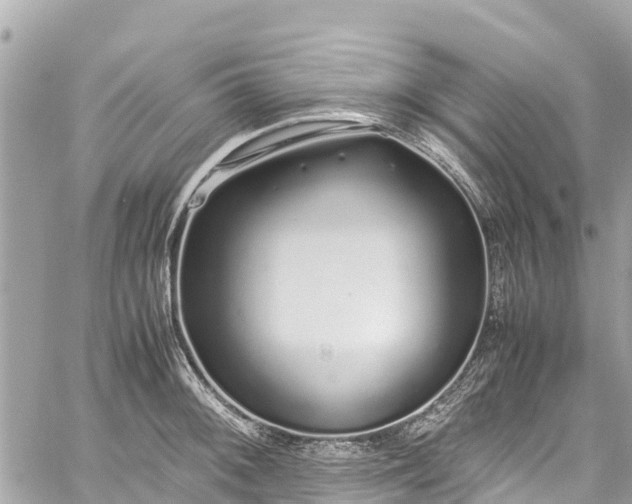 X0000059831092200510241415