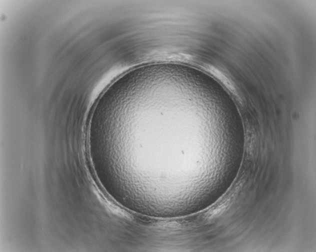 X0000059831094200510241415