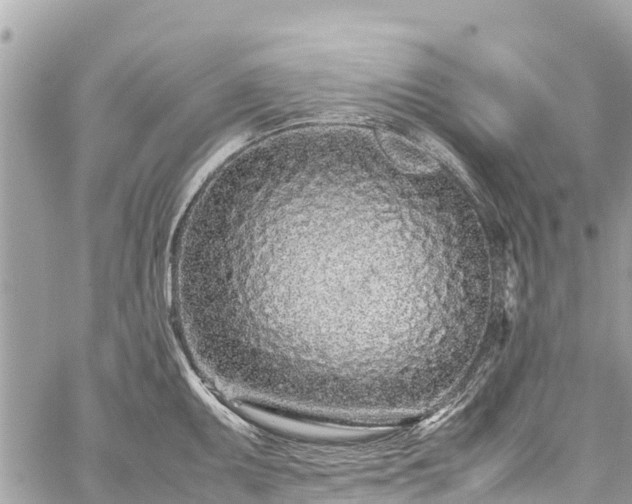 X0000059831095200510241415