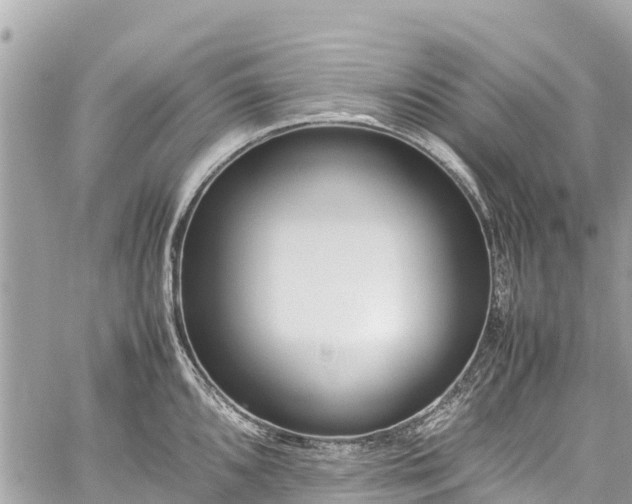 X0000059831096200510241415