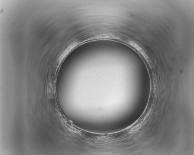 X0000059831097200510241415