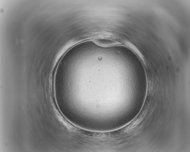 X0000059831099200510241415