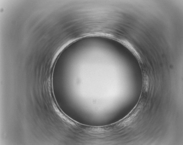 X0000059831100200510241415