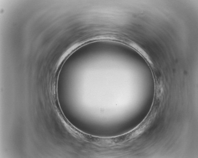 X0000059831101200510241415