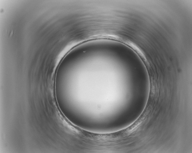 X0000059831102200510241414