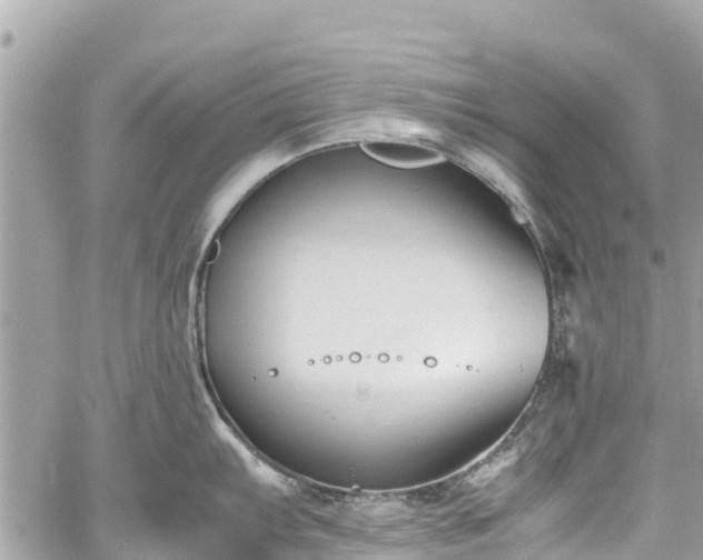 X0000059831103200510241414