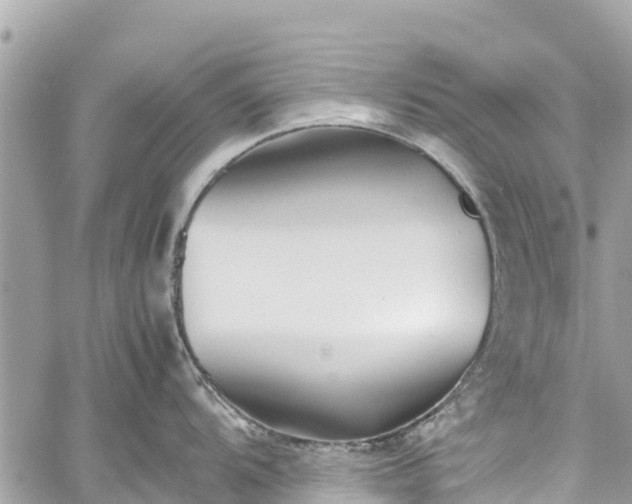 X0000059831104200510241414